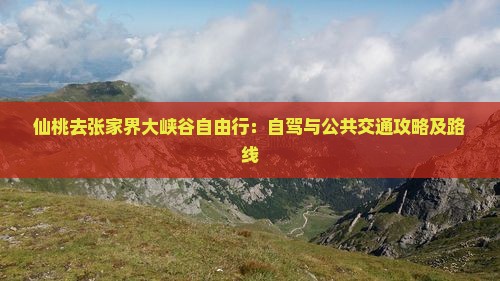 仙桃去张家界大峡谷自由行：自驾与公共交通攻略及路线