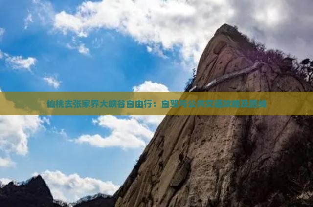 仙桃去张家界大峡谷自由行：自驾与公共交通攻略及路线
