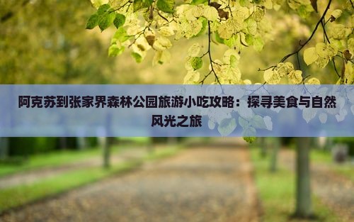 阿克苏到张家界森林公园旅游小吃攻略：探寻美食与自然风光之旅