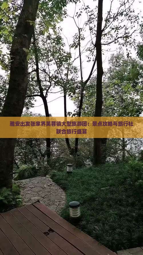 雅安出发张家界芙蓉镇大型旅游团：景点攻略与旅行社联合旅行盛宴