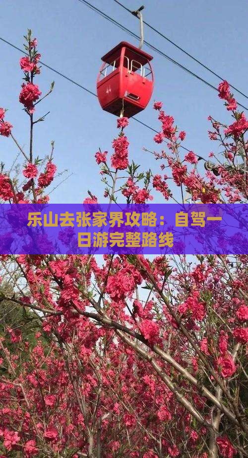 乐山去张家界攻略：自驾一日游完整路线