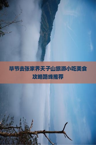 毕节去张家界天子山旅游小吃美食攻略路线推荐