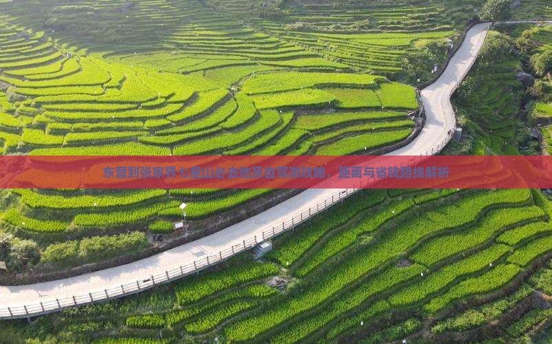 东营到张家界七星山必去地及自驾游攻略，距离与省钱路线解析