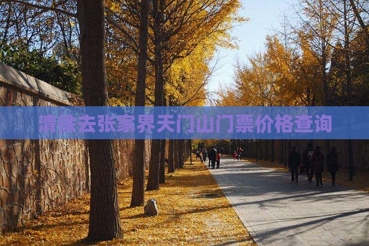 清徐去张家界天门山门票价格查询