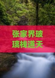张家界玻璃栈道天门旅游三日游攻略