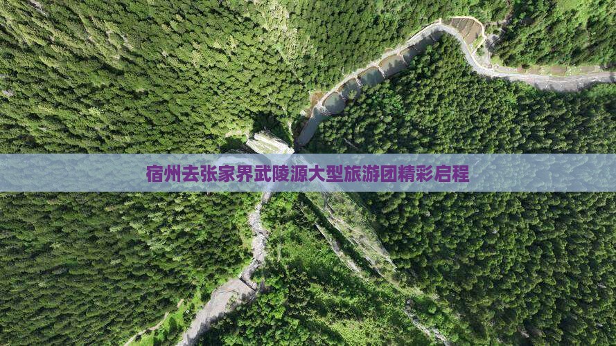 宿州去张家界武陵源大型旅游团精彩启程