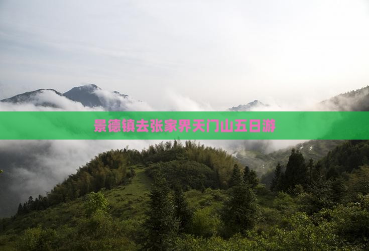 景德镇去张家界天门山五日游