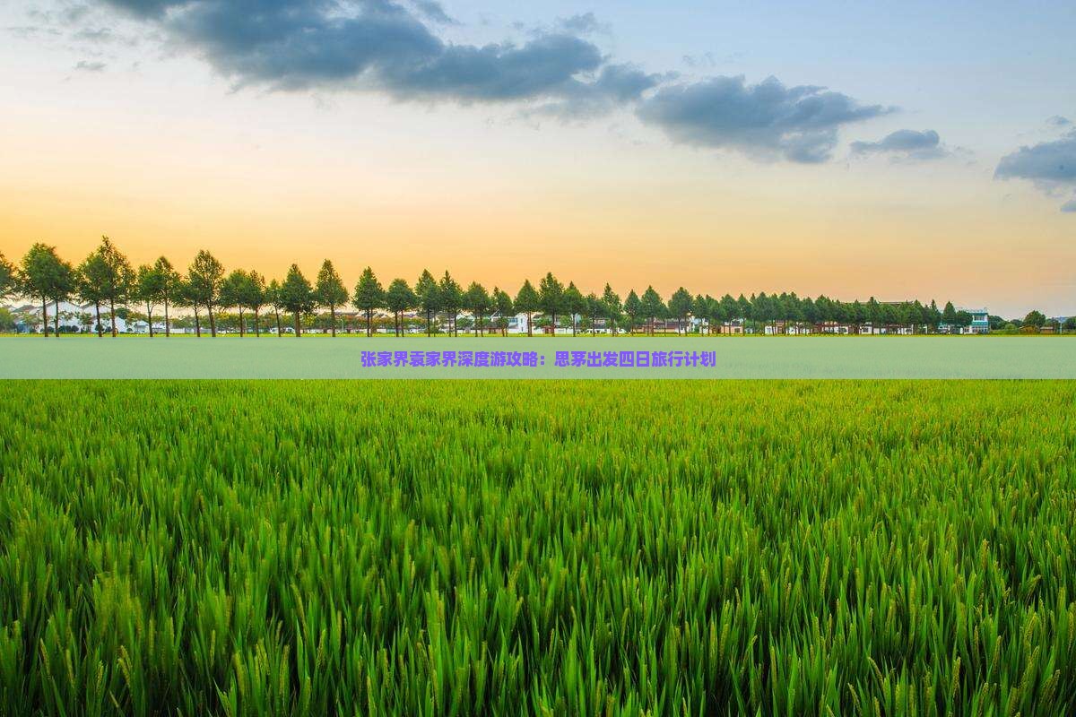 张家界袁家界深度游攻略：思茅出发四日旅行计划