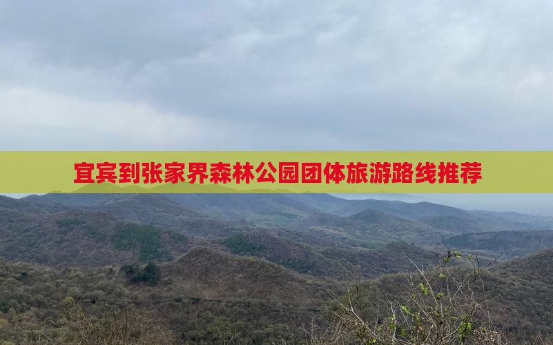 宜宾到张家界森林公园团体旅游路线推荐