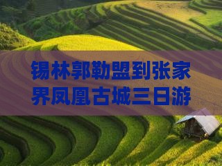 锡林郭勒盟到张家界凤凰古城三日游