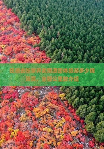 抚顺去张家界武陵源团体旅游多少钱及票，全程公里数介绍