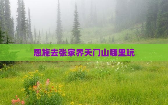 恩施去张家界天门山哪里玩