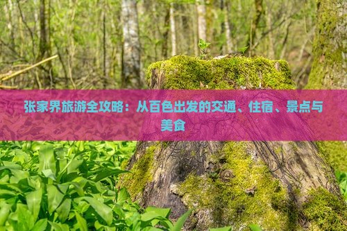 张家界旅游全攻略：从百色出发的交通、住宿、景点与美食
