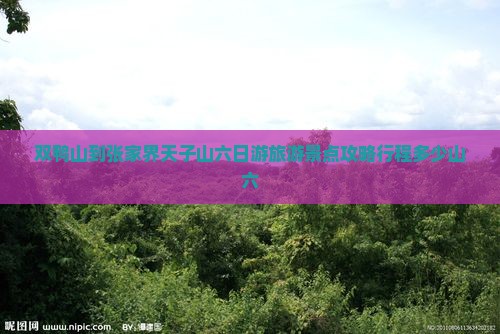 双鸭山到张家界天子山六日游旅游景点攻略行程多少山六