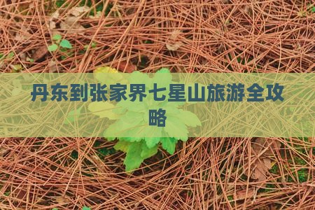 丹东到张家界七星山旅游全攻略