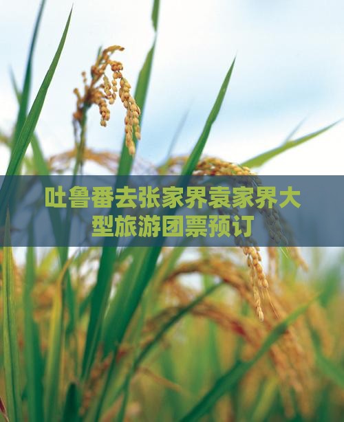 吐鲁番去张家界袁家界大型旅游团票预订