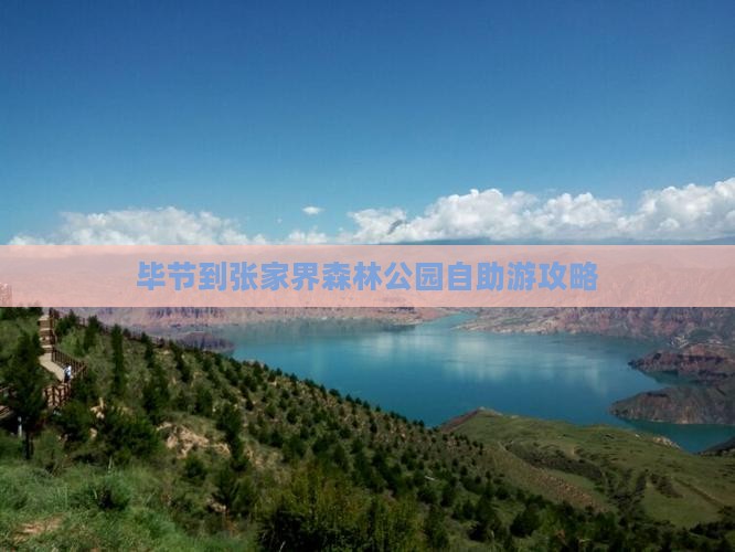 毕节到张家界森林公园自助游攻略