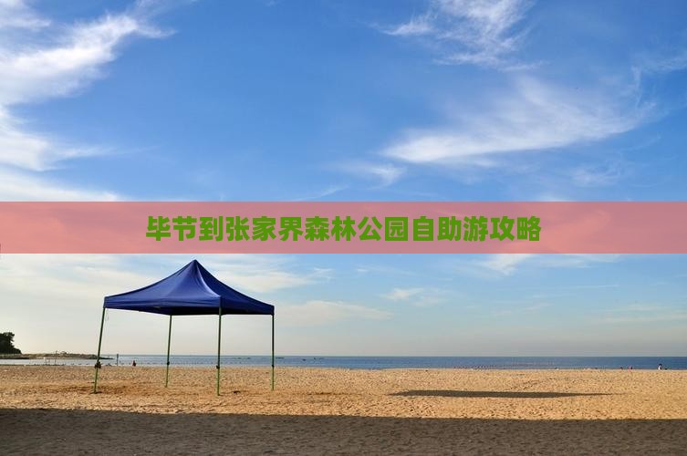 毕节到张家界森林公园自助游攻略
