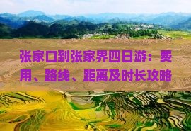 张家口到张家界四日游：费用、路线、距离及时长攻略