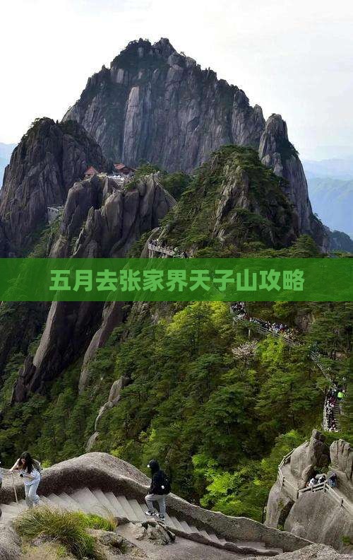 五月去张家界天子山攻略
