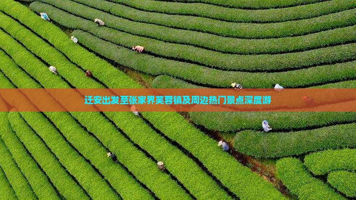 迁安出发至张家界芙蓉镇及周边热门景点深度游