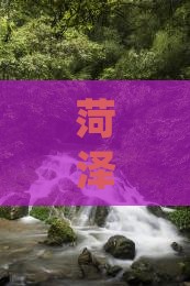 菏泽到张家界凤凰古城团体旅游路线推荐