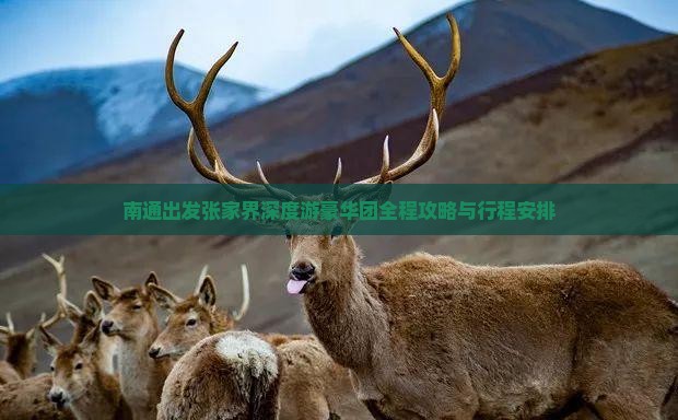 南通出发张家界深度游豪华团全程攻略与行程安排