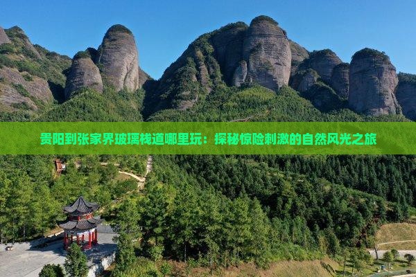 贵阳到张家界玻璃栈道哪里玩：探秘惊险刺激的自然风光之旅