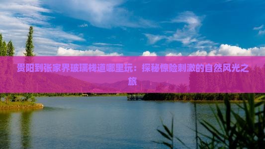 贵阳到张家界玻璃栈道哪里玩：探秘惊险刺激的自然风光之旅