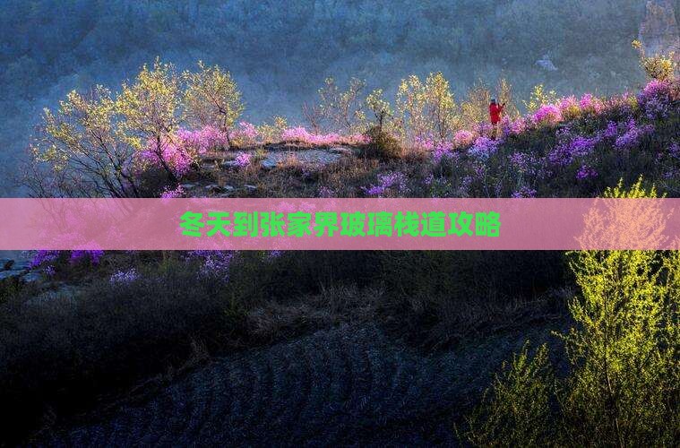 冬天到张家界玻璃栈道攻略