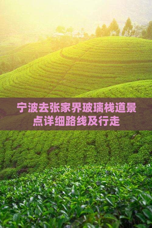 宁波去张家界玻璃栈道景点详细路线及行走