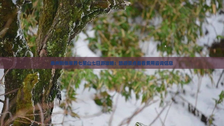 泰州到张家界七星山七日游攻略：旅游景点看看费用咨询信息