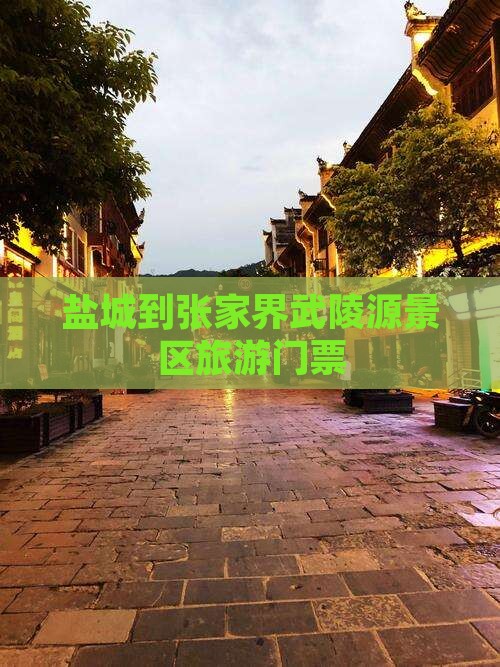 盐城到张家界武陵源景区旅游门票