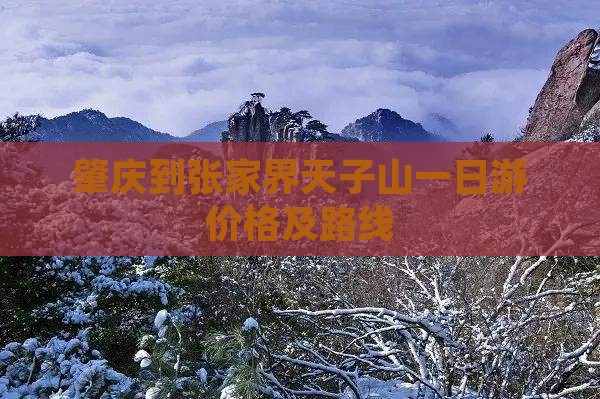 肇庆到张家界天子山一日游价格及路线
