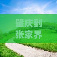 肇庆到张家界天子山一日游价格及路线