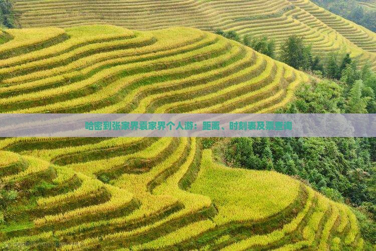 哈密到张家界袁家界个人游：距离、时刻表及票查询