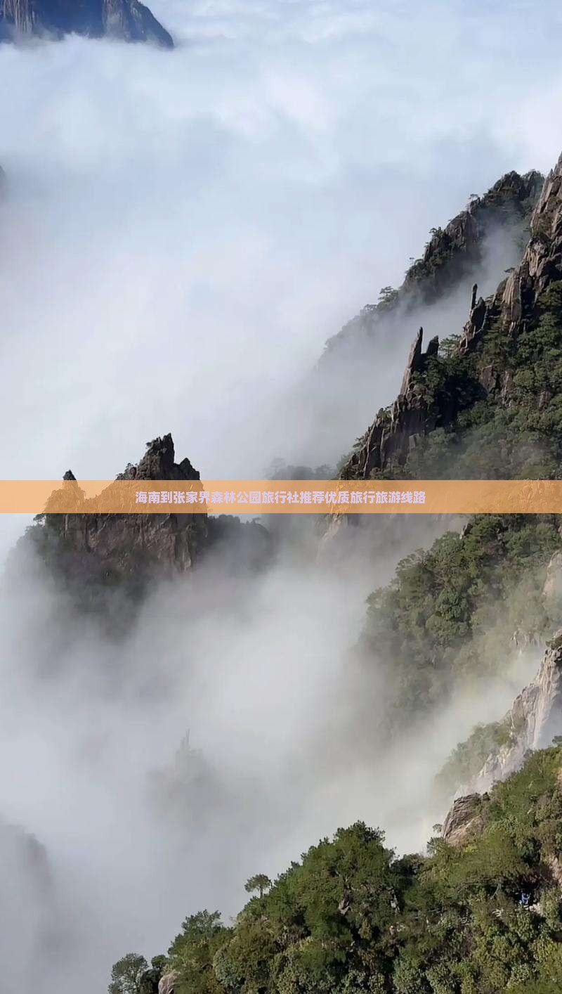 海南到张家界森林公园旅行社推荐优质旅行旅游线路