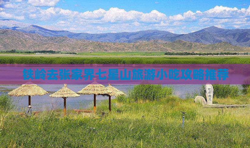 铁岭去张家界七星山旅游小吃攻略推荐