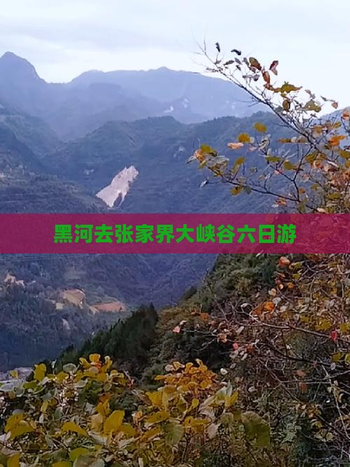 黑河去张家界大峡谷六日游
