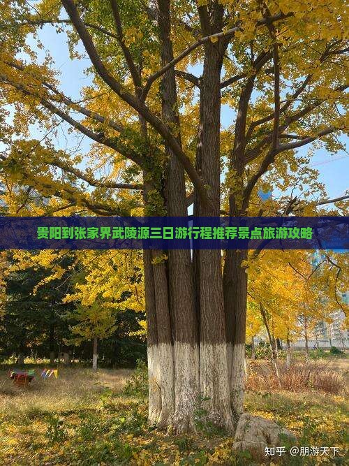 贵阳到张家界武陵源三日游行程推荐景点旅游攻略