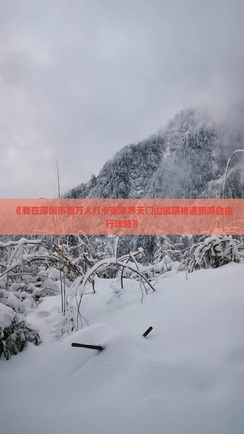 《我在深圳市看万人打卡张家界天门山玻璃栈道旅游自由行攻略》