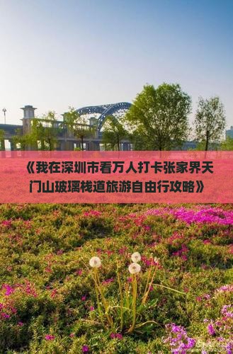 《我在深圳市看万人打卡张家界天门山玻璃栈道旅游自由行攻略》