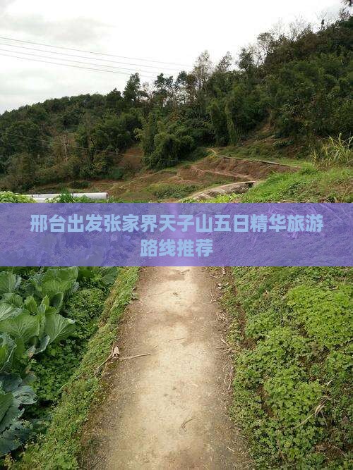 邢台出发张家界天子山五日精华旅游路线推荐