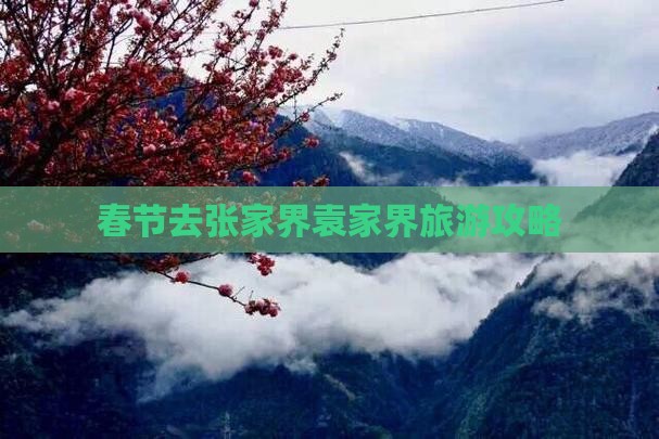 春节去张家界袁家界旅游攻略