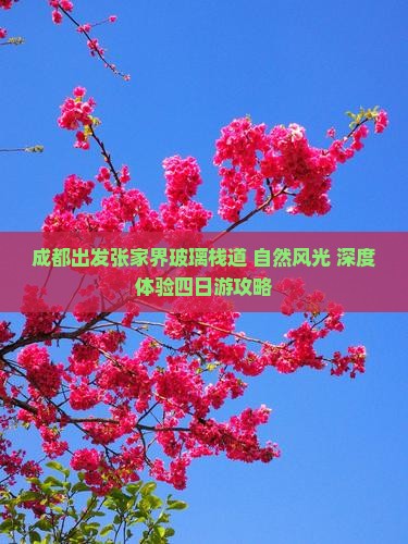 成都出发张家界玻璃栈道+自然风光+深度体验四日游攻略