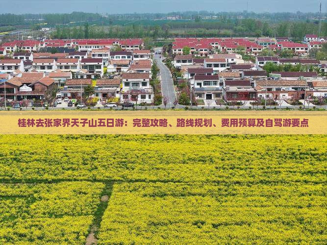 桂林去张家界天子山五日游：完整攻略、路线规划、费用预算及自驾游要点