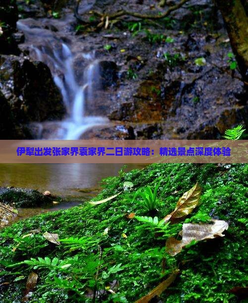 伊犁出发张家界袁家界二日游攻略：精选景点深度体验