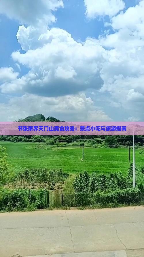 节张家界天门山美食攻略：景点小吃与旅游指南
