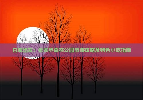 白城出发：张家界森林公园旅游攻略及特色小吃指南