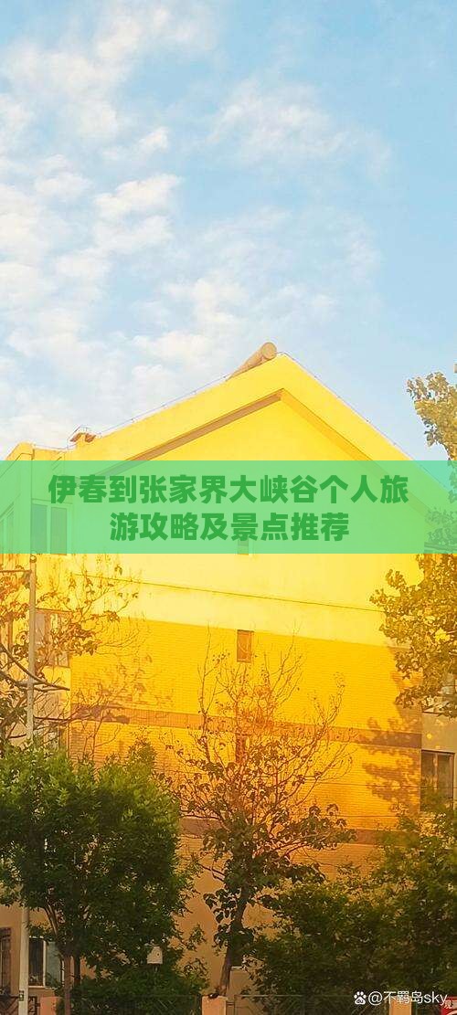伊春到张家界大峡谷个人旅游攻略及景点推荐
